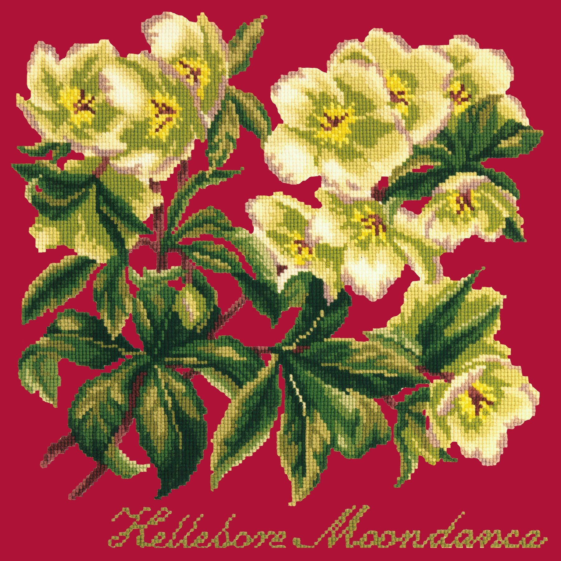 Hellebore Moondance Needlepoint Kit Elizabeth Bradley Design Bright Red 