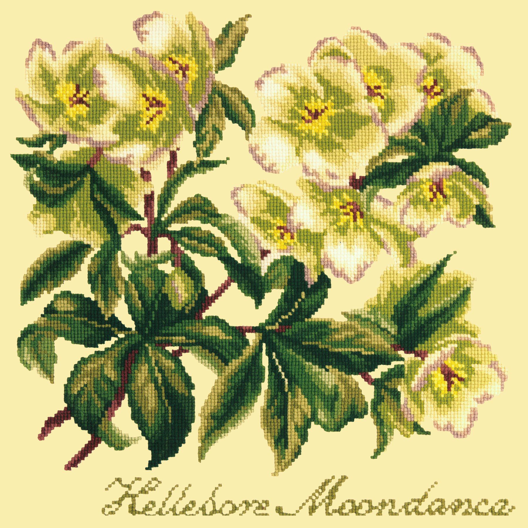 Hellebore Moondance Needlepoint Kit Elizabeth Bradley Design Butter Yellow 