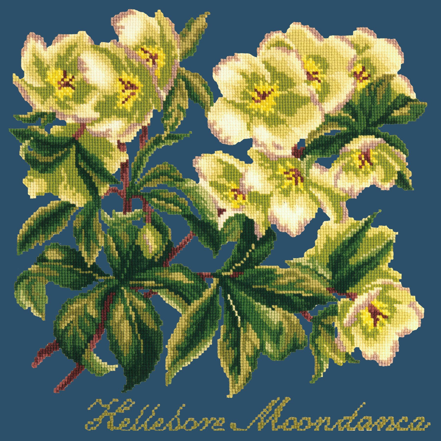 Hellebore Moondance Needlepoint Kit Elizabeth Bradley Design Dark Blue 