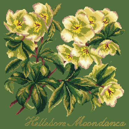 Hellebore Moondance Needlepoint Kit Elizabeth Bradley Design Dark Green 