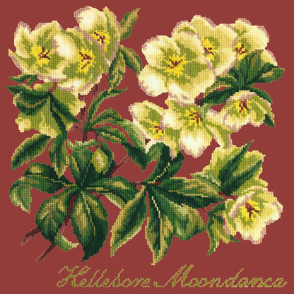 Hellebore Moondance Needlepoint Kit Elizabeth Bradley Design Dark Red 