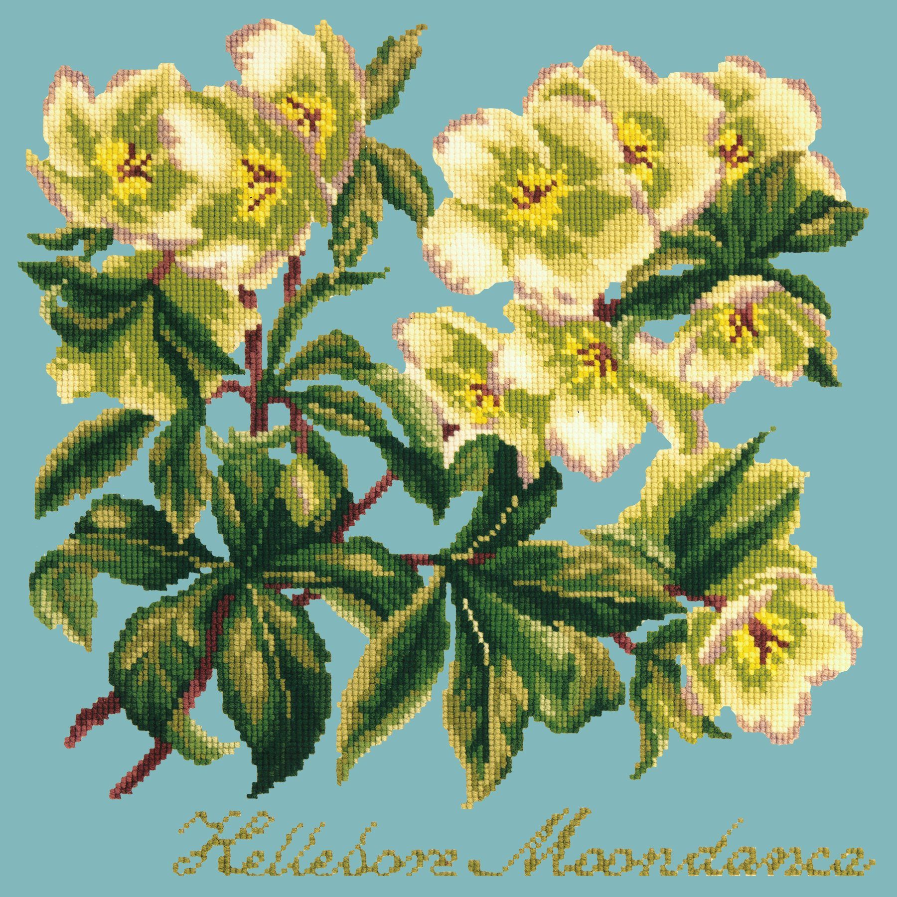 Hellebore Moondance Needlepoint Kit Elizabeth Bradley Design Duck Egg Blue 