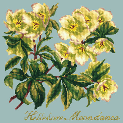 Hellebore Moondance Needlepoint Kit Elizabeth Bradley Design Pale Blue 