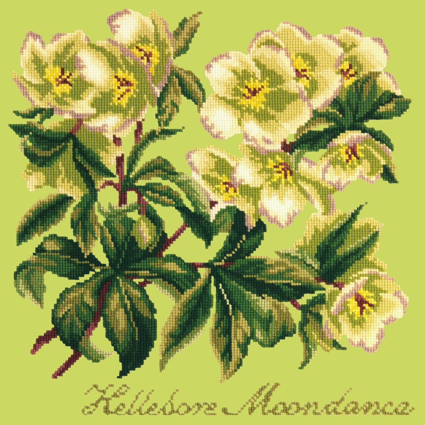 Hellebore Moondance Needlepoint Kit Elizabeth Bradley Design Pale Lime 