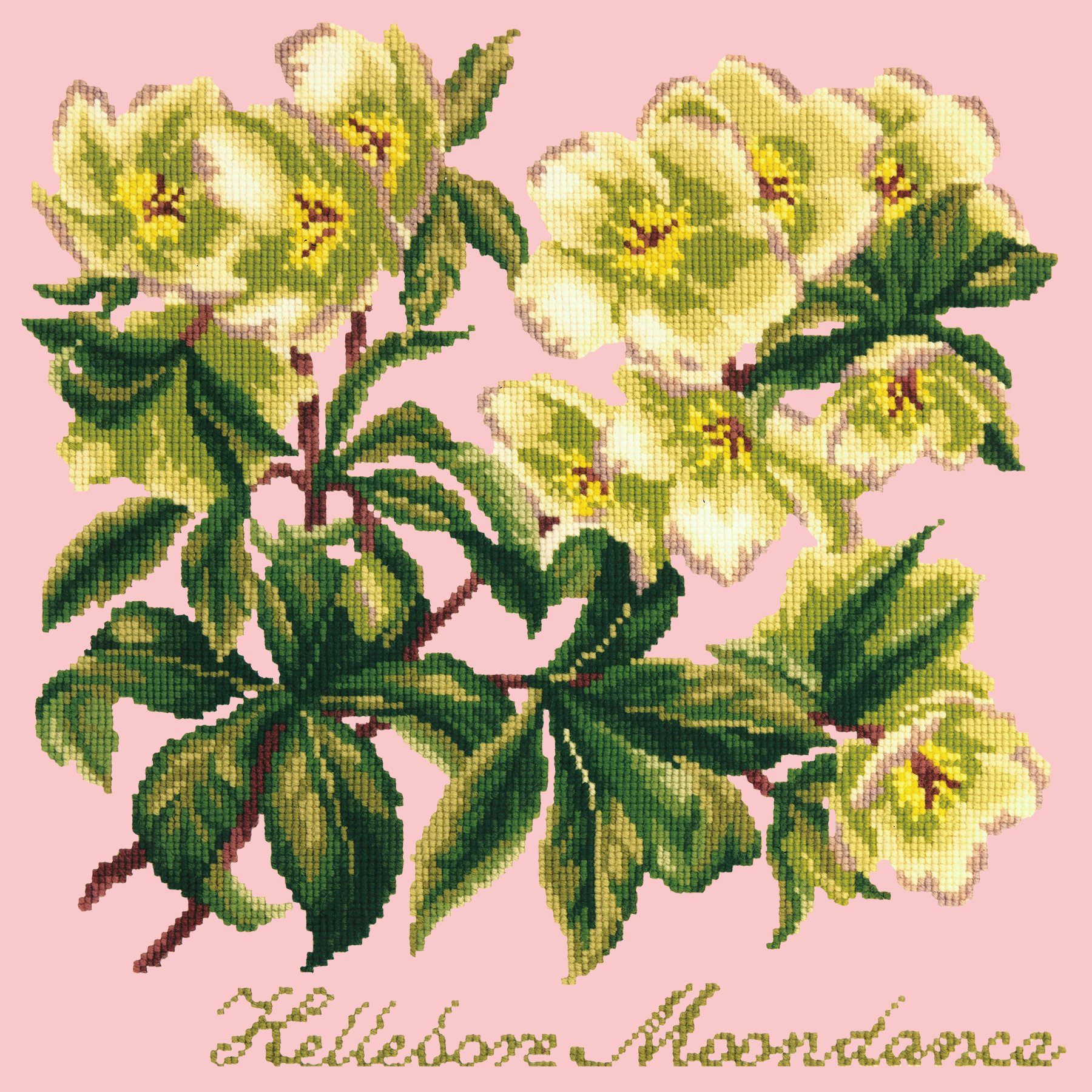 Hellebore Moondance Needlepoint Kit Elizabeth Bradley Design Pale Rose 