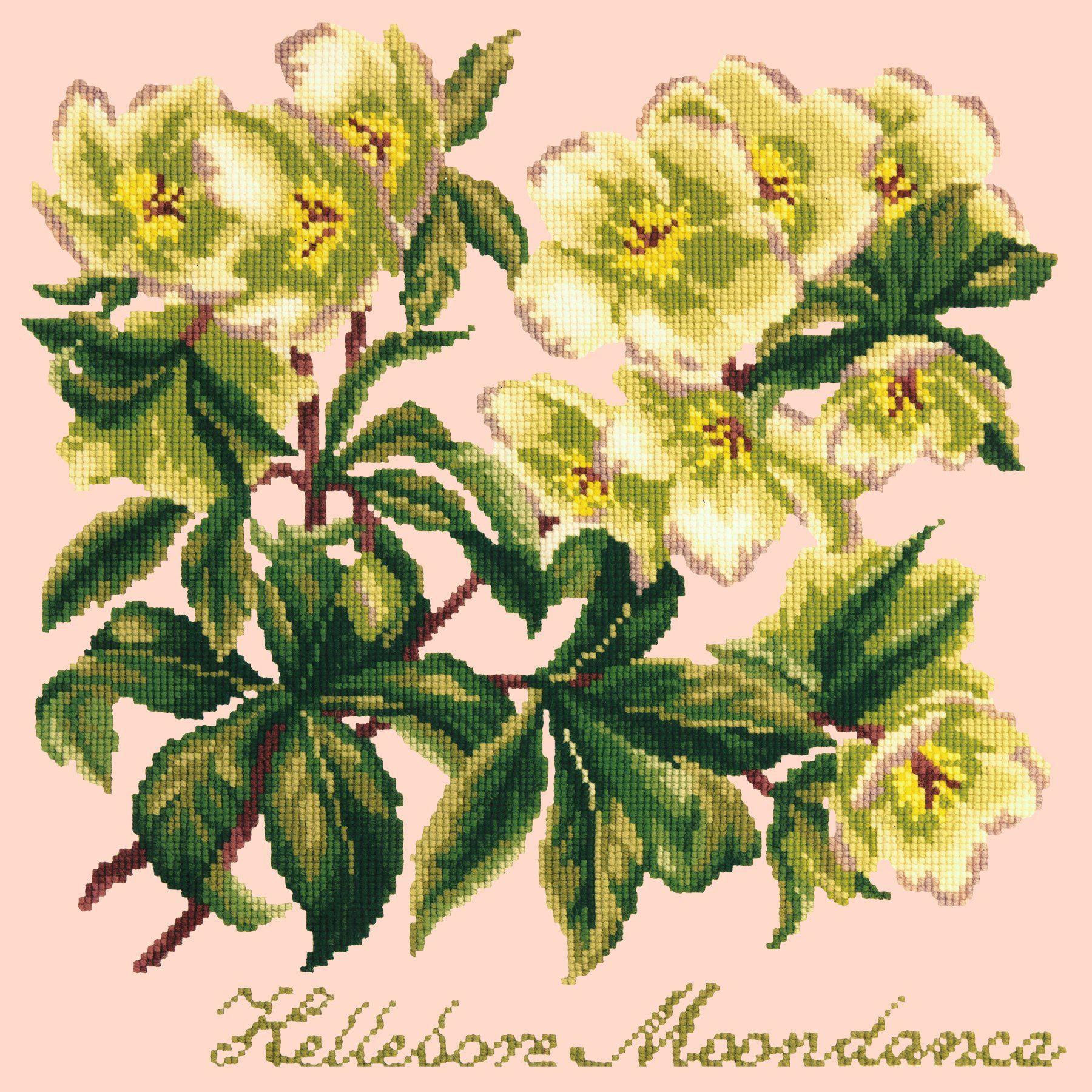 Hellebore Moondance Needlepoint Kit Elizabeth Bradley Design Salmon Pink 