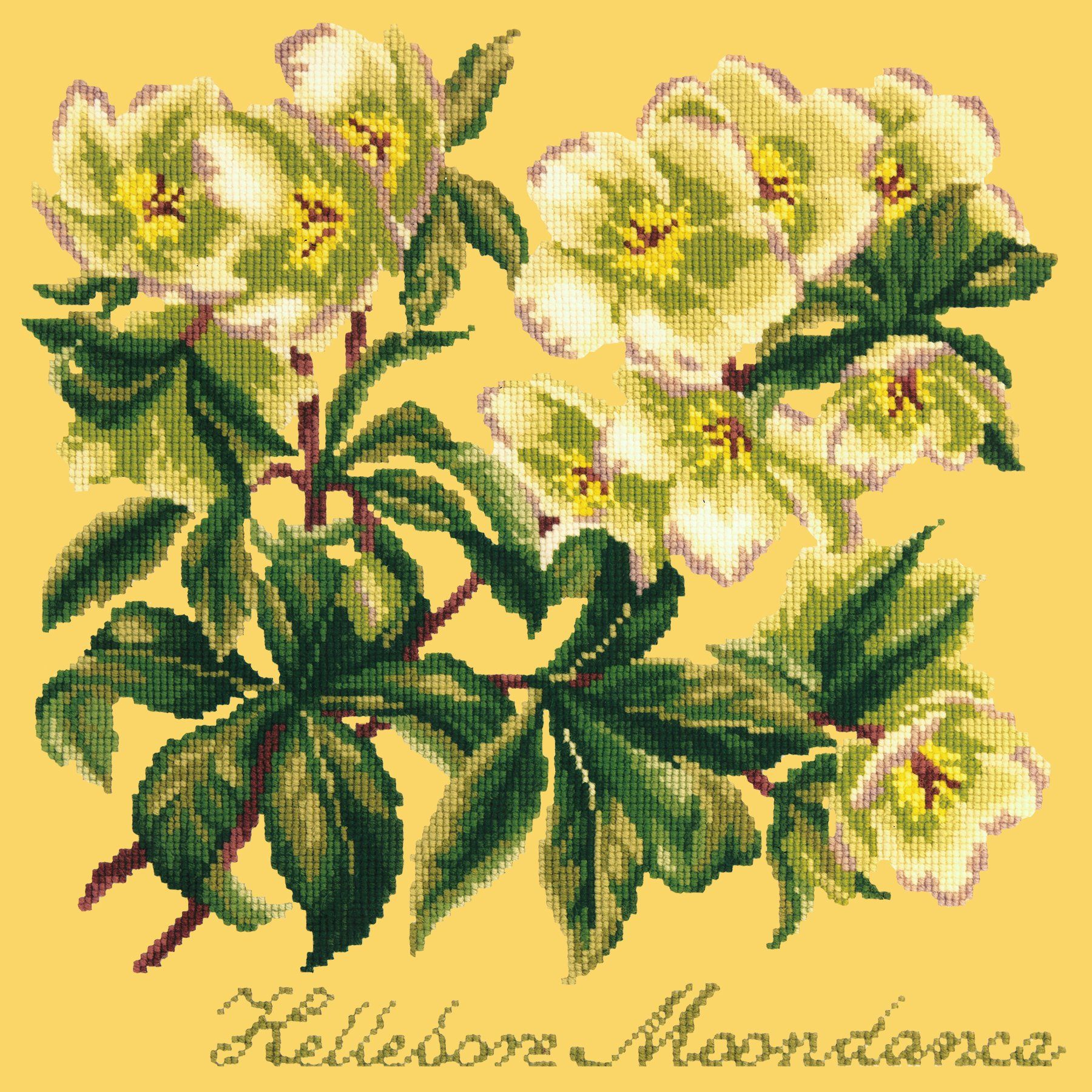 Hellebore Moondance Needlepoint Kit Elizabeth Bradley Design Sunflower Yellow 