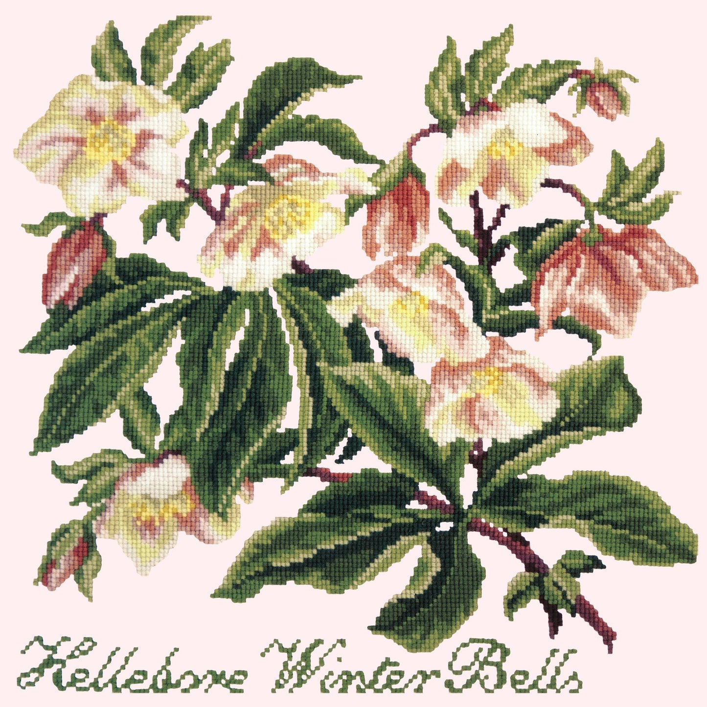 Hellebore Winter Bells Needlepoint Kit Elizabeth Bradley Design 