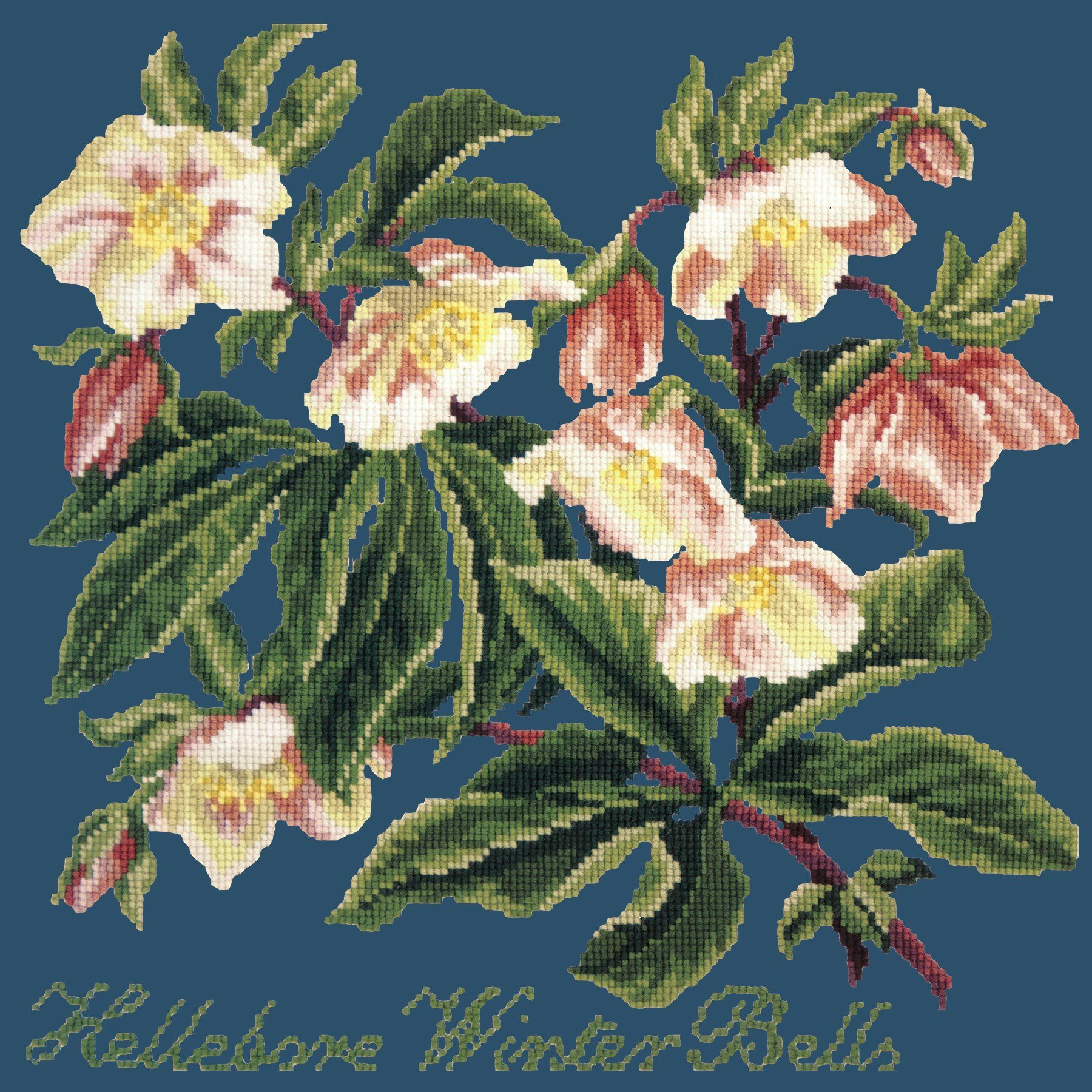 Hellebore Winter Bells Needlepoint Kit Elizabeth Bradley Design Dark Blue 