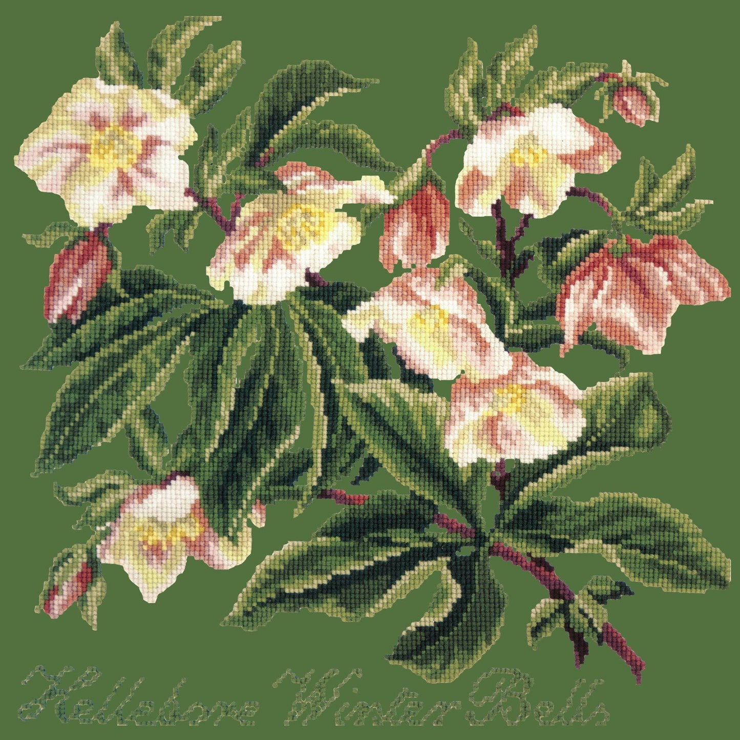 Hellebore Winter Bells Needlepoint Kit Elizabeth Bradley Design Dark Green 