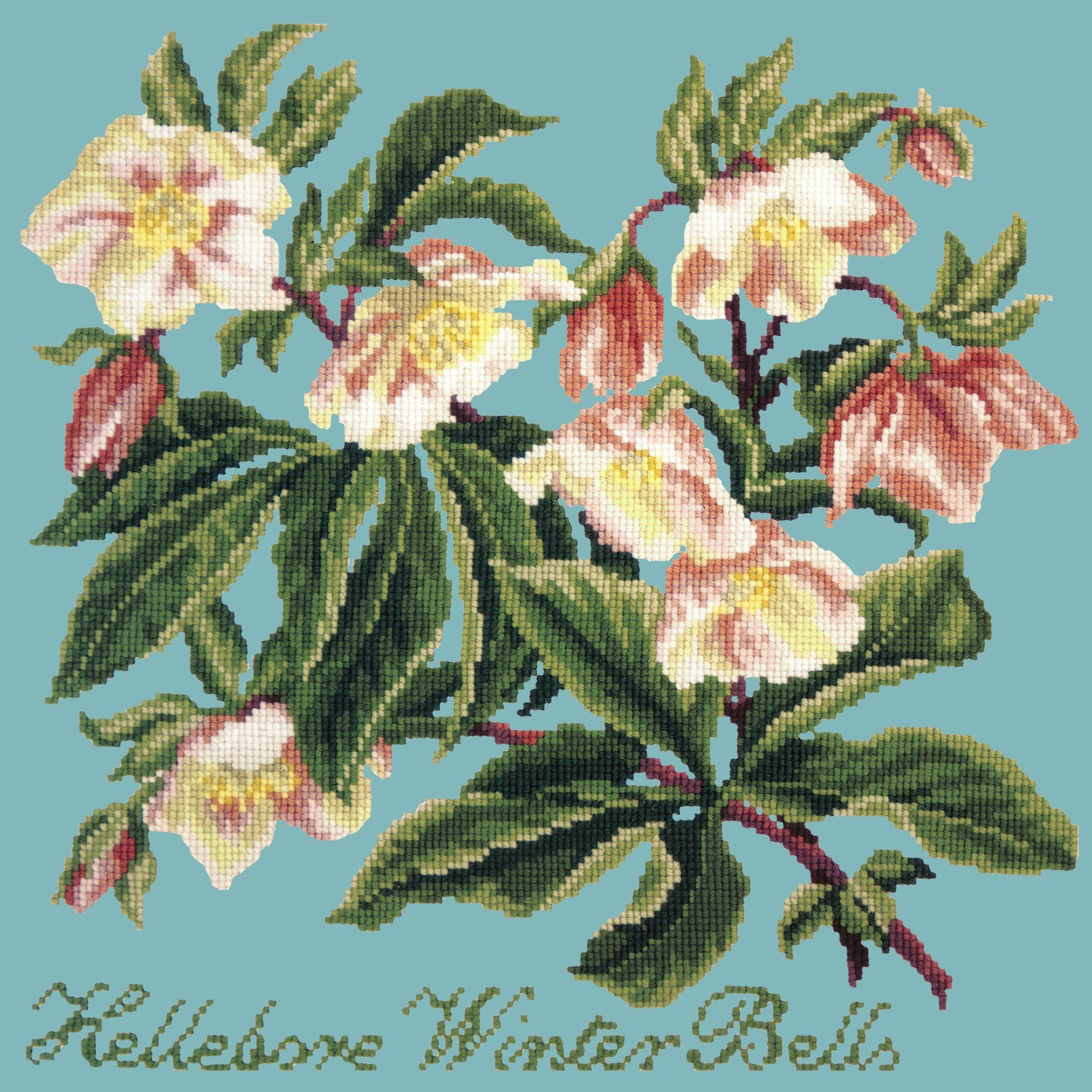 Hellebore Winter Bells Needlepoint Kit Elizabeth Bradley Design Duck Egg Blue 