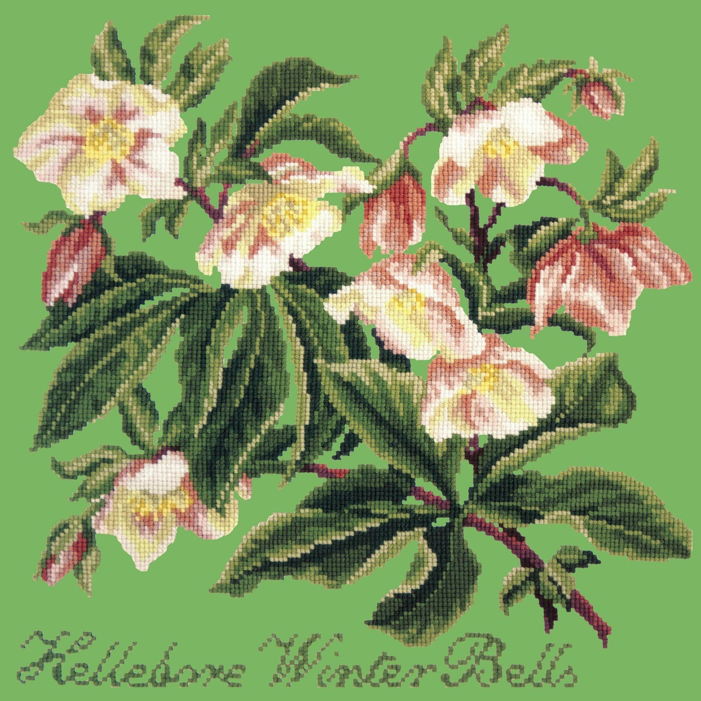 Hellebore Winter Bells Needlepoint Kit Elizabeth Bradley Design Grass Green 