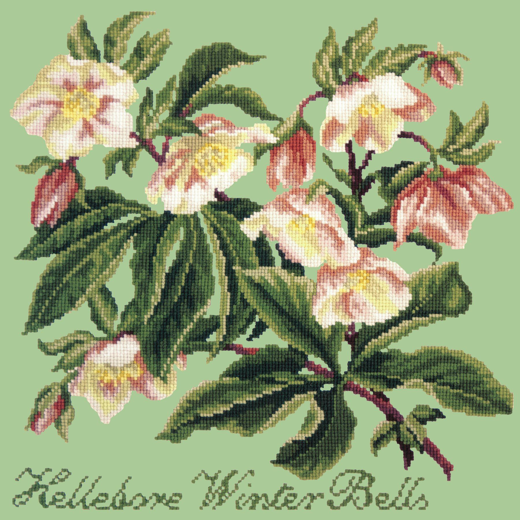 Hellebore Winter Bells Needlepoint Kit Elizabeth Bradley Design Pale Green 