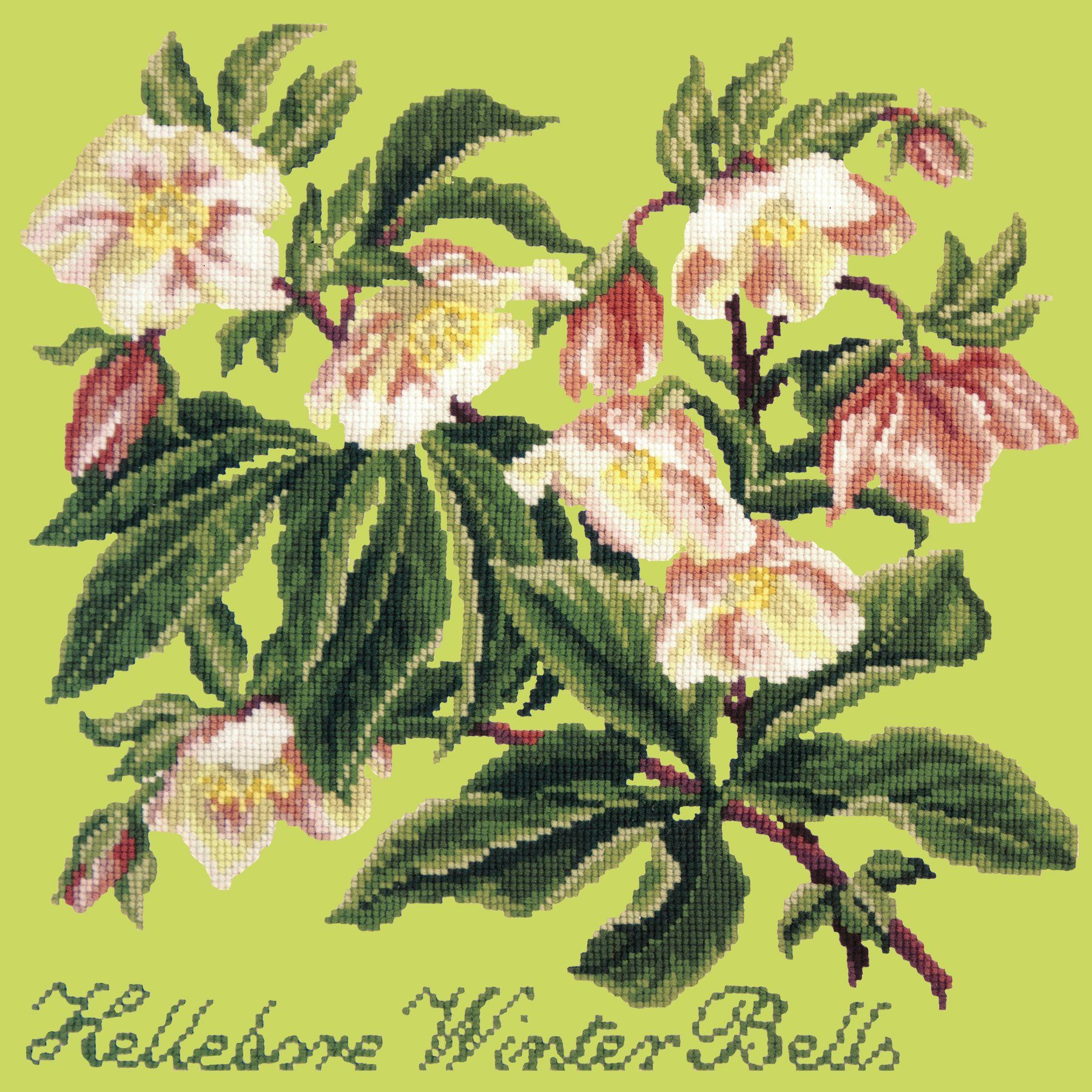 Hellebore Winter Bells Needlepoint Kit Elizabeth Bradley Design Pale Lime 