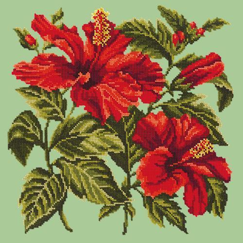 Hibiscus Needlepoint Kit Elizabeth Bradley Design Pale Green 