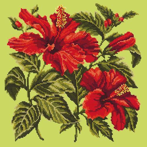 Hibiscus Needlepoint Kit Elizabeth Bradley Design Pale Lime 