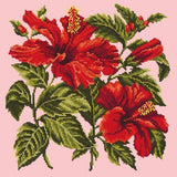 Hibiscus Needlepoint Kit Elizabeth Bradley Design Pale Rose 