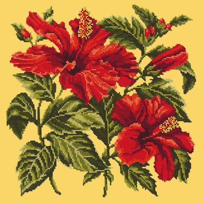 Hibiscus Needlepoint Kit Elizabeth Bradley Design Sunflower Yellow 