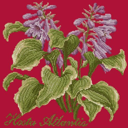 Hosta Atlantis Needlepoint Kit Elizabeth Bradley Design Bright Red 