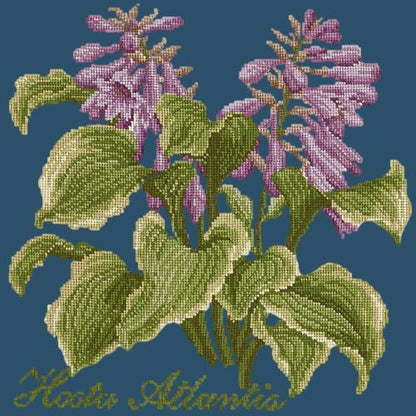 Hosta Atlantis Needlepoint Kit Elizabeth Bradley Design Dark Blue 