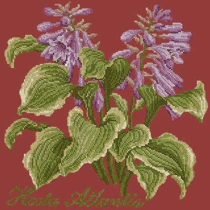 Hosta Atlantis Needlepoint Kit Elizabeth Bradley Design Dark Red 