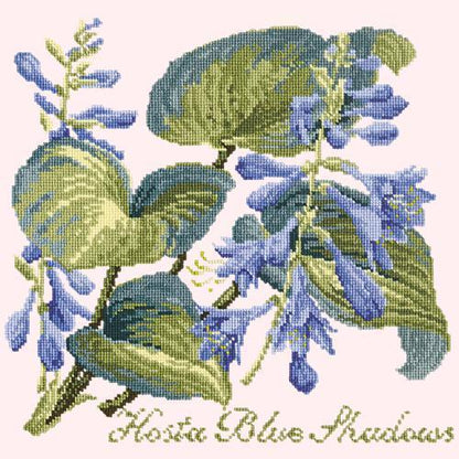 Hosta Blue Shadows Needlepoint Kit Elizabeth Bradley Design 