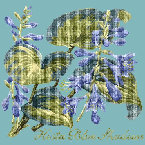 Hosta Blue Shadows Needlepoint Kit Elizabeth Bradley Design Duck Egg Blue 