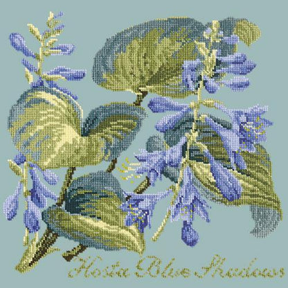 Hosta Blue Shadows Needlepoint Kit Elizabeth Bradley Design Pale Blue 