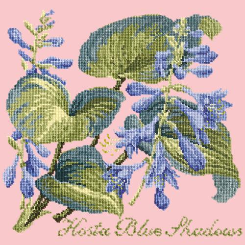 Hosta Blue Shadows Needlepoint Kit Elizabeth Bradley Design Pale Rose 