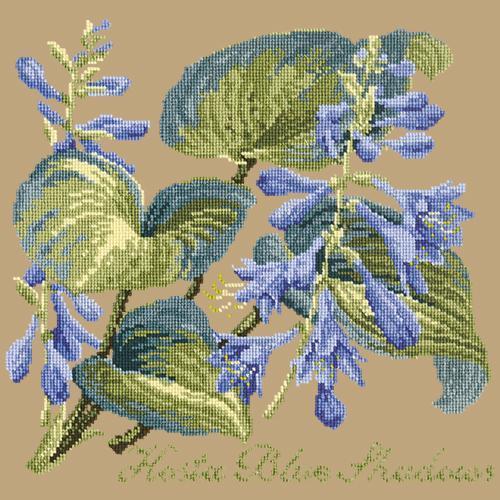 Hosta Blue Shadows Needlepoint Kit Elizabeth Bradley Design Sand 