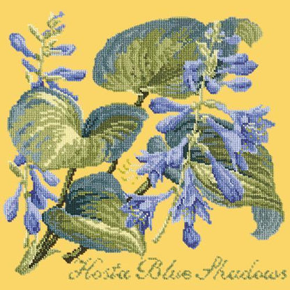 Hosta Blue Shadows Needlepoint Kit Elizabeth Bradley Design Sunflower Yellow 