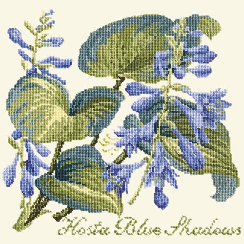 Hosta Blue Shadows Needlepoint Kit Elizabeth Bradley Design Winter White 