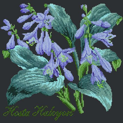 Hosta Halcyon Needlepoint Kit Elizabeth Bradley Design Black 