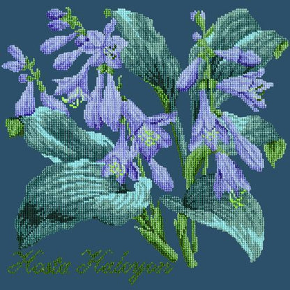 Hosta Halcyon Needlepoint Kit Elizabeth Bradley Design Dark Blue 