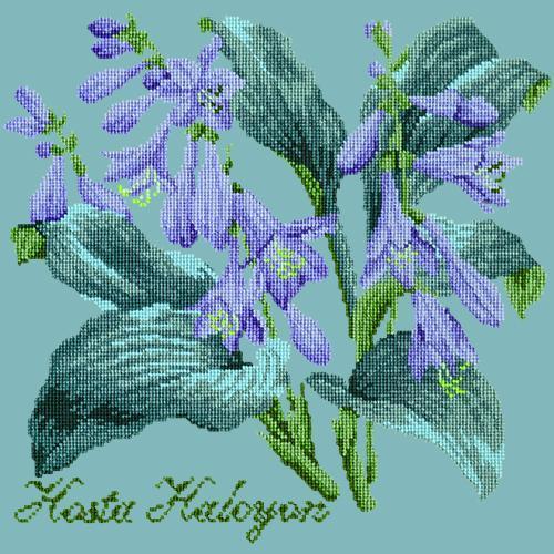 Hosta Halcyon Needlepoint Kit Elizabeth Bradley Design Duck Egg Blue 