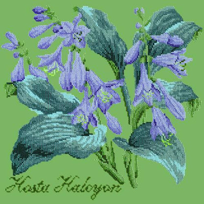 Hosta Halcyon Needlepoint Kit Elizabeth Bradley Design Grass Green 