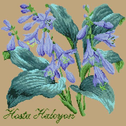 Hosta Halcyon Needlepoint Kit Elizabeth Bradley Design Sand 