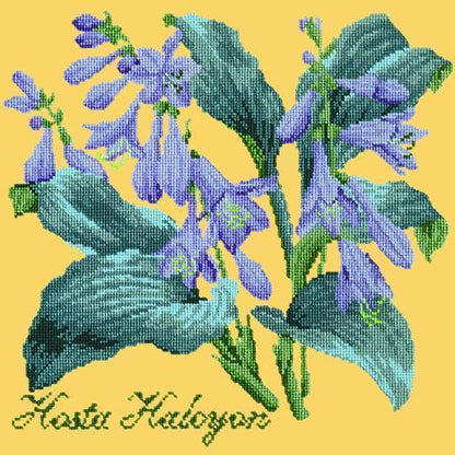 Hosta Halcyon Needlepoint Kit Elizabeth Bradley Design Sunflower Yellow 