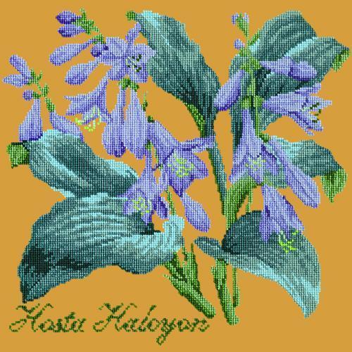 Hosta Halcyon Needlepoint Kit Elizabeth Bradley Design Yellow 