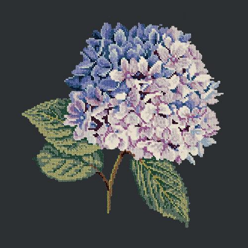 Hydrangea Needlepoint Kit Elizabeth Bradley Design Black 