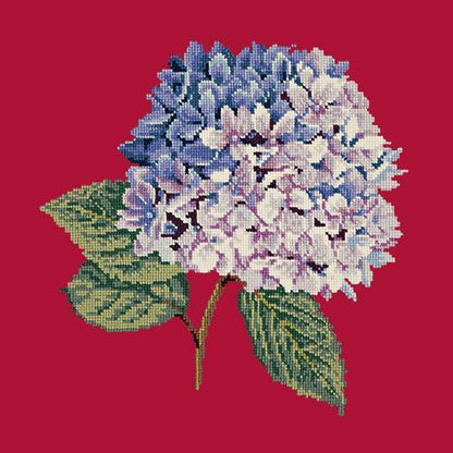 Hydrangea Needlepoint Kit Elizabeth Bradley Design Bright Red 