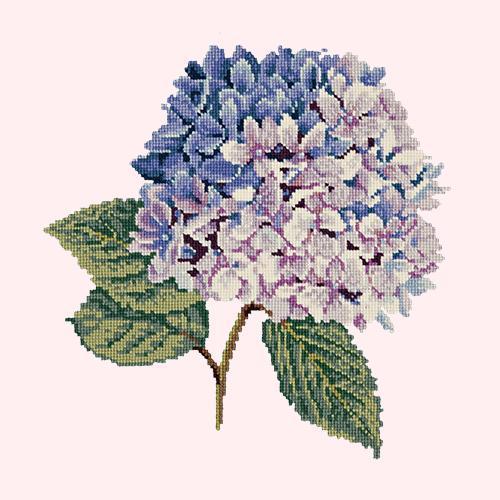 Hydrangea Needlepoint Kit Elizabeth Bradley Design 