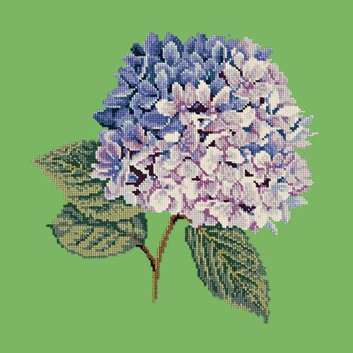 Hydrangea Needlepoint Kit Elizabeth Bradley Design Grass Green 