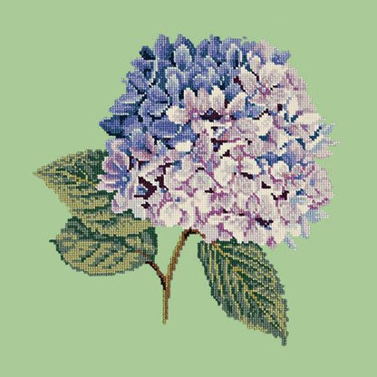 Hydrangea Needlepoint Kit Elizabeth Bradley Design Pale Green 