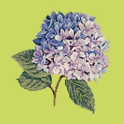 Hydrangea Needlepoint Kit Elizabeth Bradley Design Pale Lime 