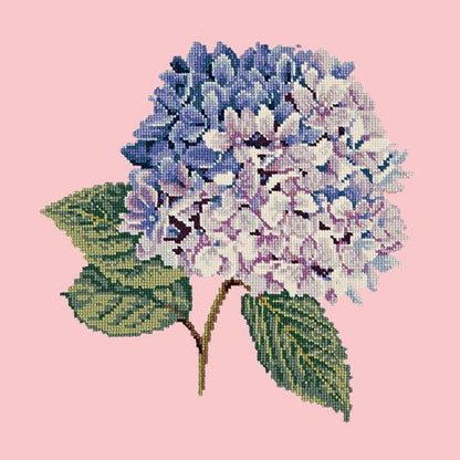 Hydrangea Needlepoint Kit Elizabeth Bradley Design Pale Rose 