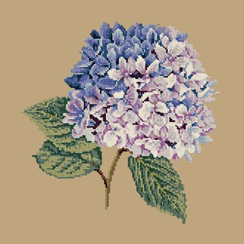 Hydrangea Needlepoint Kit Elizabeth Bradley Design Sand 