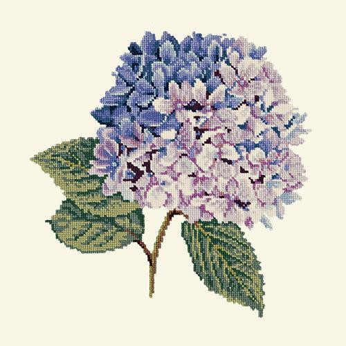 Hydrangea Needlepoint Kit Elizabeth Bradley Design Winter White 