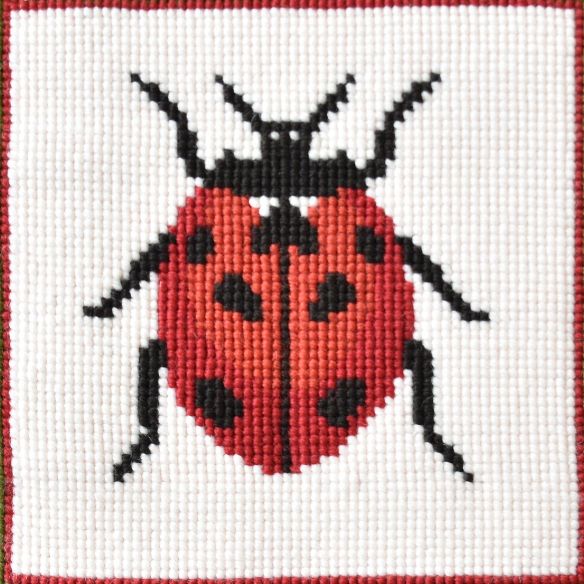 Lady Bird Needlepoint Kit Elizabeth Bradley Design 