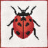 Lady Bird